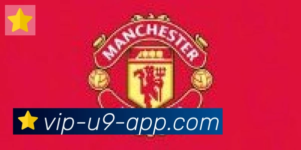 U9国际体育合作伙伴